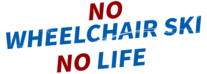 wheelchairskijapan.com